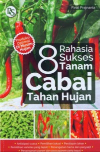 8 Rahasia Sukses Tanam Cabai Tahan Hujan