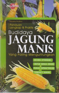 Panduan Lengkap & Praktis Budidaya Jagung Manis Yang Paling Menguntungkan