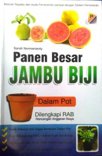 Panen Besar Jambu Biji : Dalam Pot Dilengkapi RAB Rancangan Anggaran Biaya