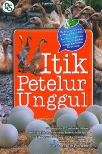 Itik Petelur Unggul