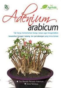 Adenium Arabicum