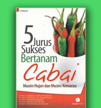 5 Jurus Sukses Bertanam Cabai : Musim Hujan dan Musim Kemarau