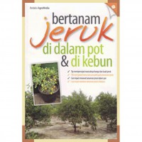 Bertanam Jeruk Didalam Pot & Dikebun