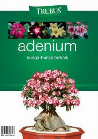 Adenium: Bunga-Bunga Terbaik