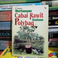 Bertanam Cabai Rawit Dalam Polybag