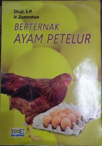 Beternak Ayam Petelur