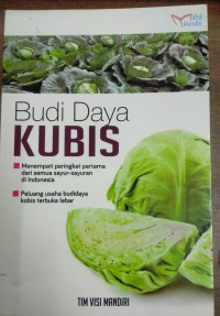 Budi Daya Kubis