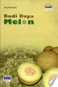 Budi Daya Melon