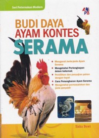 Budi Daya Ayam Kontes Serama