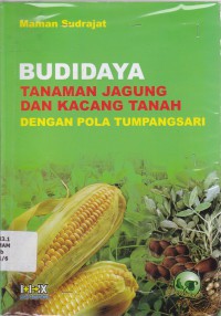 Budidaya Tanaman Jagung dan Kacang Tanah Dengan Pola Tumpangsari