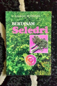 Bertanam Seledri