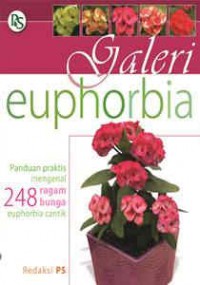 Galeri Euphorbia