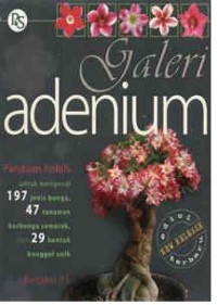 Galeri Adenium : Edisi New Release Terbaru