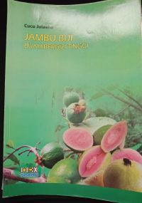 Jambu Biji Buah Bergizi Tinggi