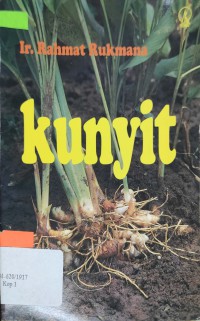 Kunyit