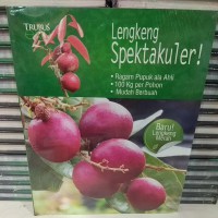 Lengkeng Spektakuler