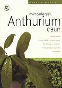 Memperbanyak Anthurium Daun