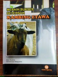 Meraih Sukses Beternak Kambing Etawa