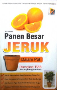 Panen Besar Jeruk Dalam Pot