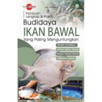 Panduan Lengkap & Praktis Budidaya Ikan Bawal yang Paling Menguntungkan