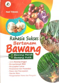 Rahasia Sukses Bertanam Bawang