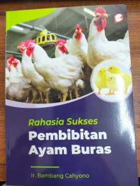 Rahasia Sukses Pembibitan Ayam Buras