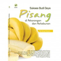 Sukses Budi Daya Pisang di Pekarangan dan Perkebunan