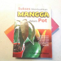 Sukses Membuahkan Mangga dalam Pot