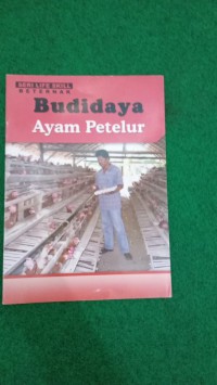 Budidaya Ayam Petelur