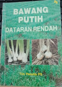 Bawang Putih : Dataran Rendah