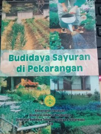 Budidaya Sayuran di Perkarangan