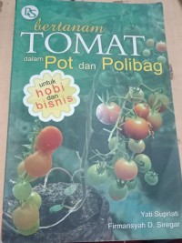 Bertanam Tomat Dalam Pot Dan Polibag