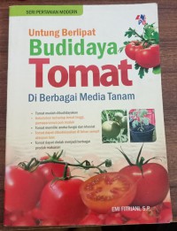 Untung Berlipat Budidaya Tomat di Berbagai Media Tanam