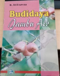 Budidaya Jambu Air