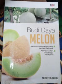 Budi Daya Melon