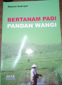 Bertanam Padi Pandan Wangi