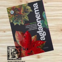 Aglaonema