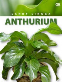 Anthurium