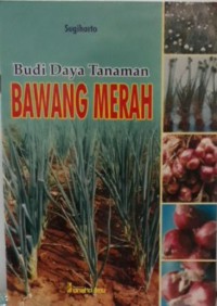 Budi Daya Tanaman Bawang Merah