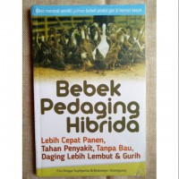 Bebek Pendaging Hibrida