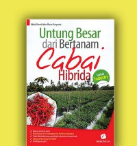 Untung Besar dari Bertanam Cabai Hibrida : untuk industri