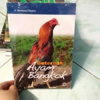 Beternak Ayam Bangkok