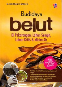 Budidaya Belut Diperkarangan, Lahan Sempit, Lahan Kritis Dan Minim Air