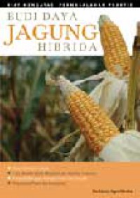 Budidaya Jagung Hibrida