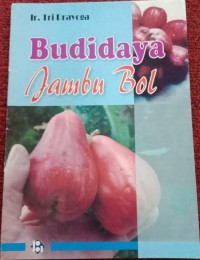 Budidaya Jambu Bol