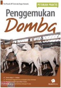 Dumba-Dumba Gleter: Jodoh Ditangan Tuhan, Pilihan Di Tangan Emak