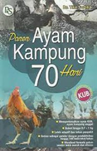 Panen Ayam Kampung 70 Hari