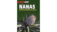 Sang Nanas: Bersisik Manis di Lidah