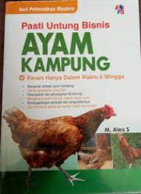 Pasti Untung Bisnis ayam Kampung: panen Hanya Dalam Waktu 6 Minggu