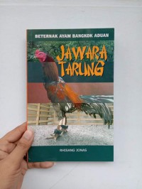 Beternak Ayam Bangkok Aduan Jawara Tarung